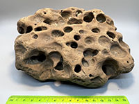 a brown rock full of round hole, almost like swiss cheese.